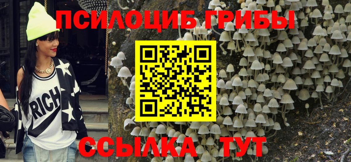 Галлюциногенные грибы Magic Shrooms Черногорск